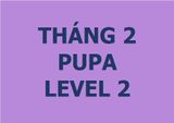  Lớp vẽ trung cấp II - Tháng 2 - Level 2 