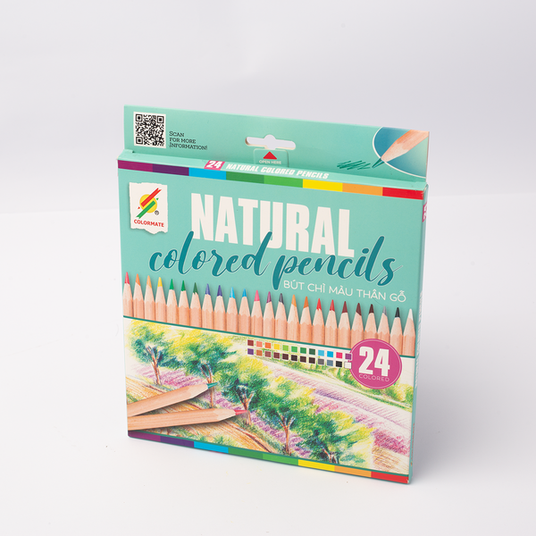  Hộp giấy 24 cây chì màu thân gỗ (colored pencils) -Colormate 
