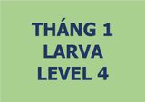  Lớp vẽ trung cấp I - Tháng 1 - Level 4 