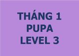  Lớp vẽ trung cấp II - Tháng 1 - Level 3 