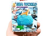  SINH VẬT BIỂN (Sea World) 