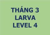  Lớp vẽ trung cấp I - Tháng 3 - Level 4 