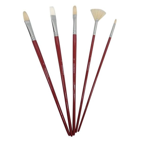  Bộ 5 cây cọ vẽ màu dầu 