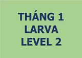  Lớp vẽ trung cấp I - Tháng 1 - Level 2 