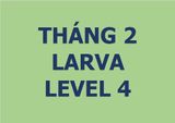  Lớp vẽ trung cấp I - Tháng 2 - Level 4 