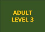  Lớp vẽ nâng cao - Level 3 