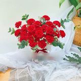  Hoa sáp cẩm chướng xù 