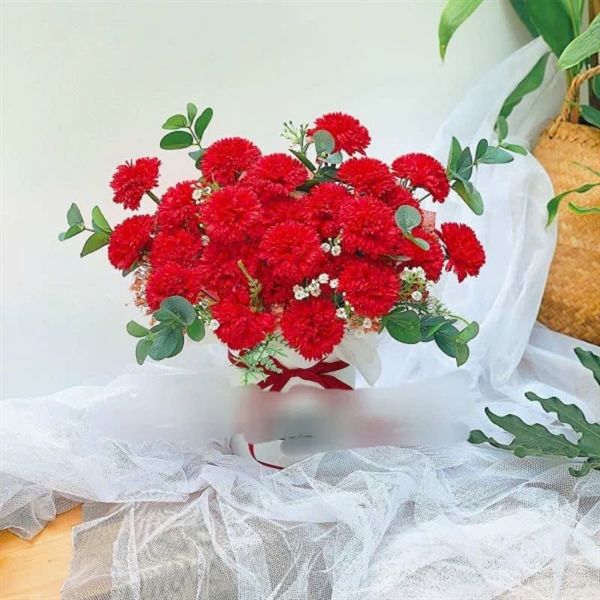  Hoa sáp cẩm chướng xù 