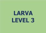  Lớp vẽ trung cấp I - Level 3 