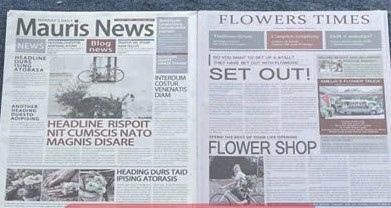  Giấy báo in chữ Fleur, Mauris News, Vogue 