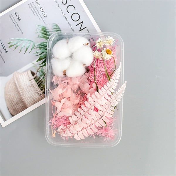  Set Hoa Khô Hộp Màu Hồng 
