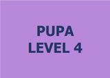  Lớp vẽ trung cấp II - Level 4 