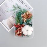  Set Hoa Khô Hộp Hoa Gòn 