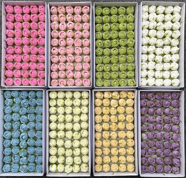  Hoa sáp nụ hoa hồng 