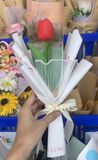  Bó hoa tulip 1 bông 