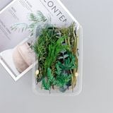  Set Hoa Khô Hộp Lá Cây 