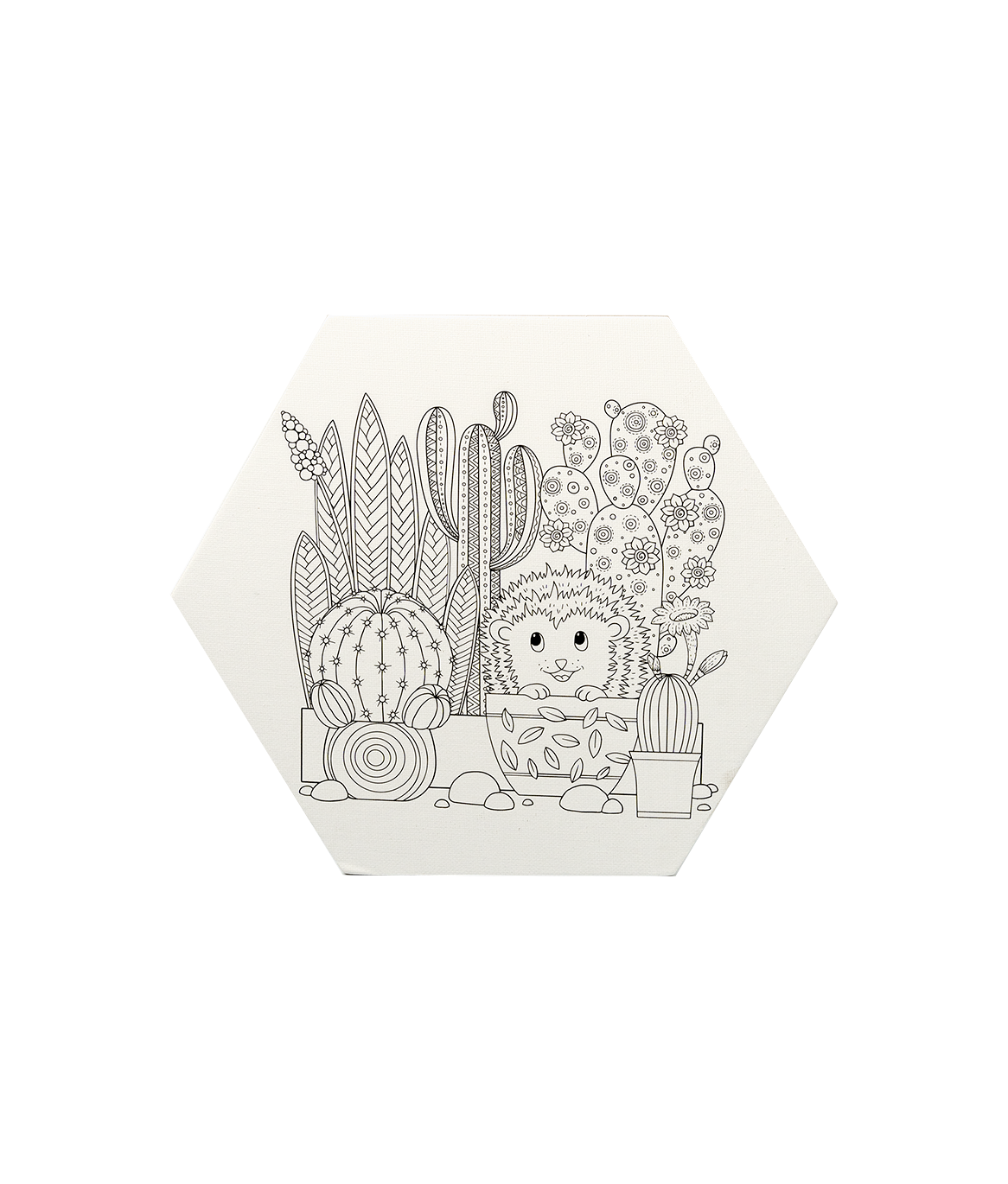  Bảng canvas in lục giác 25cm-Colormate 