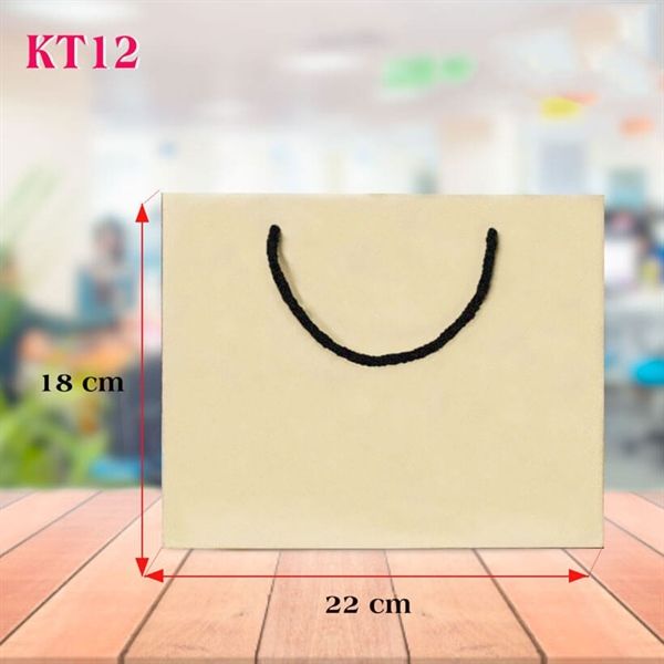  Túi giấy Kraft 18x22x16 