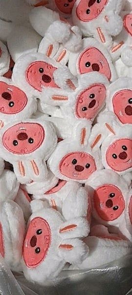  Mặt Gấu Bông Lớn 