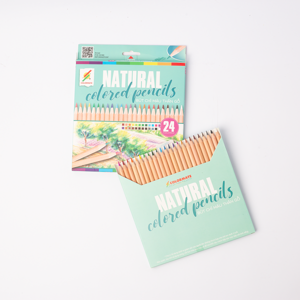  Hộp giấy 24 cây chì màu thân gỗ (colored pencils) -Colormate 