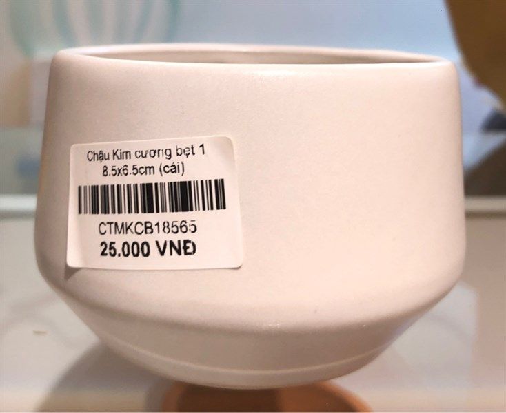  Chậu Kim cương bẹt 1 8.5x6.5cm 