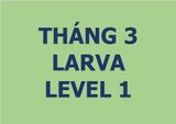  Lớp vẽ trung cấp I - Tháng 3 - Level 1 