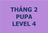  Lớp vẽ trung cấp II - Tháng 2 - Level 4 