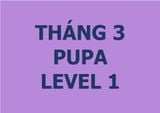  Lớp vẽ trung cấp II - Tháng 3 - Level 1 