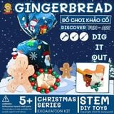  ĐỒ CHƠI KHẢO CỔ BÁNH GỪNG 