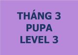  Lớp vẽ trung cấp II - Tháng 3 - Level 3 