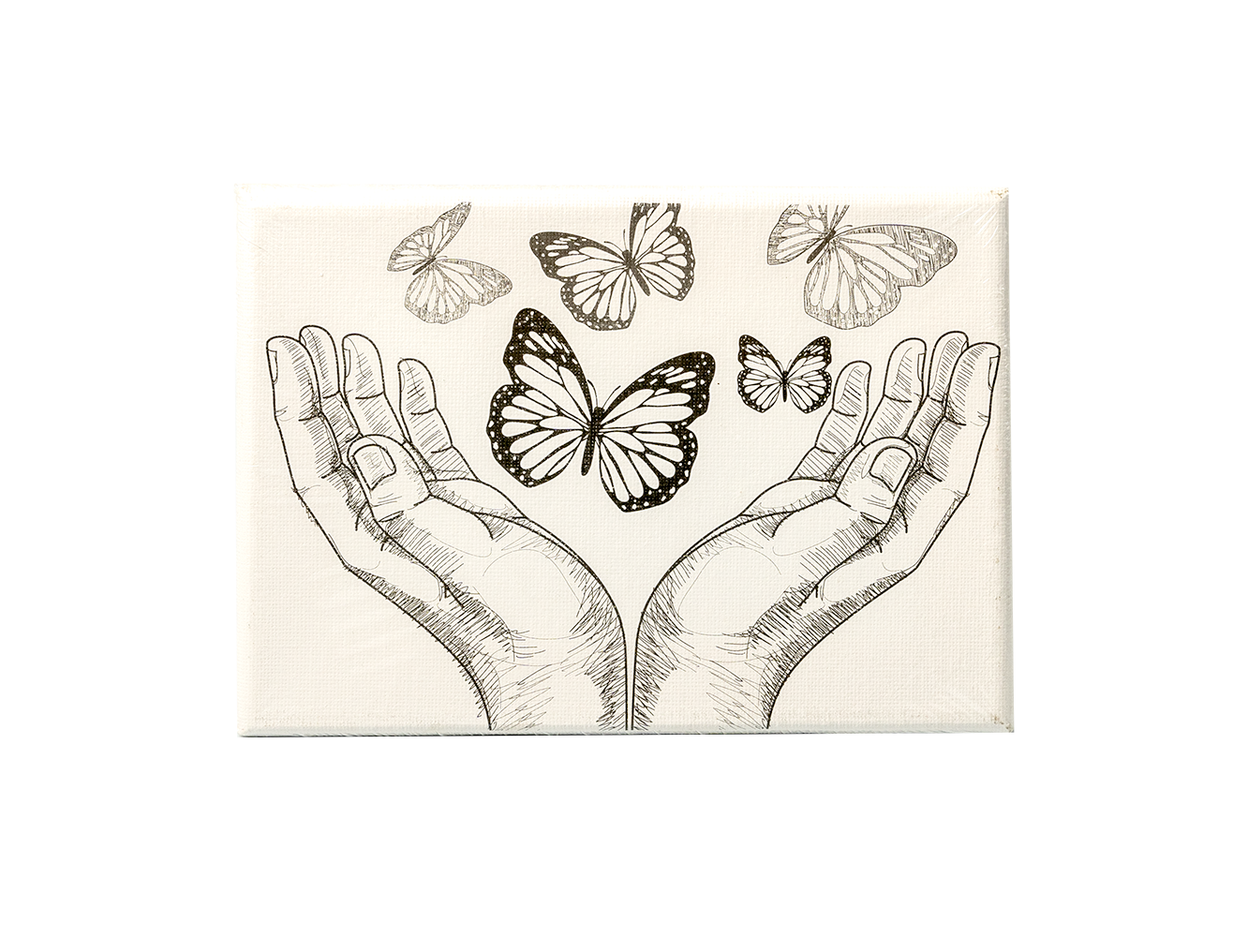  Khung tranh canvas 7x9cm-Colormate 