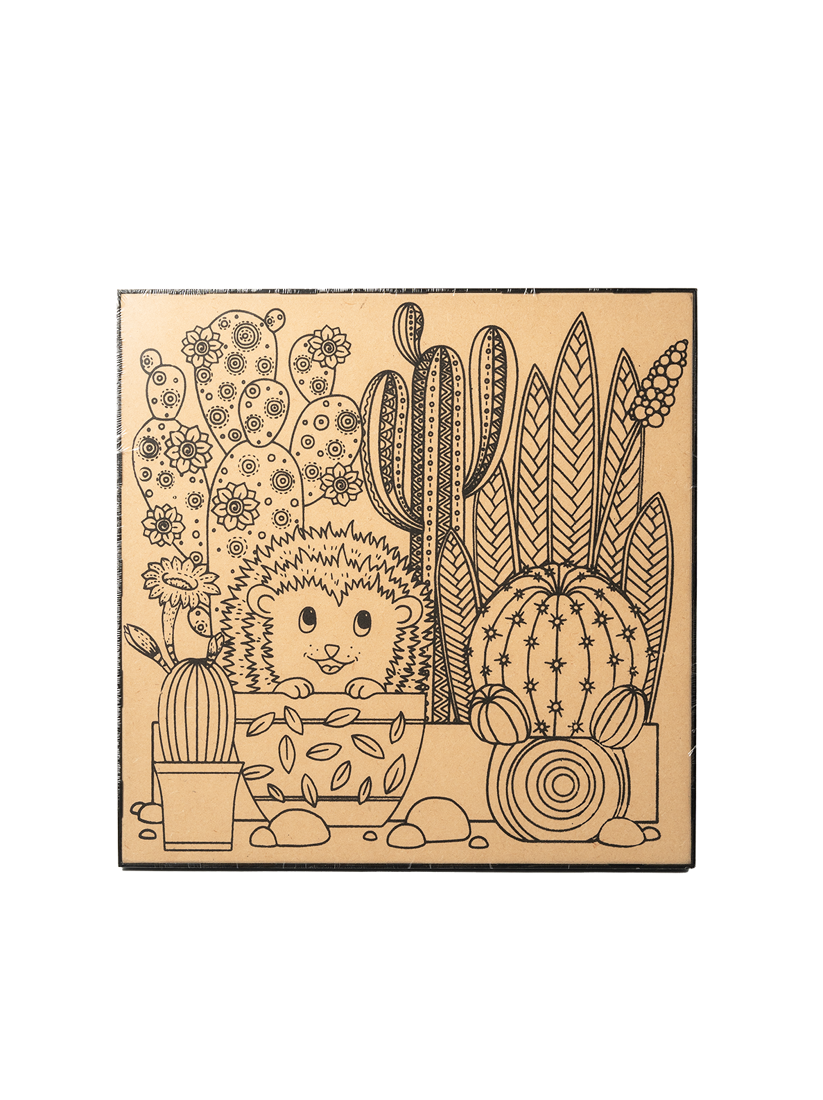  Khung tranh canvas MDF-Colormate 