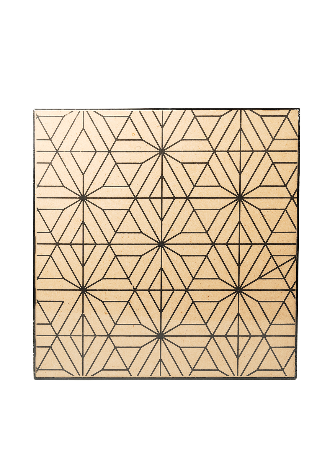  Khung tranh canvas MDF + paint pots 