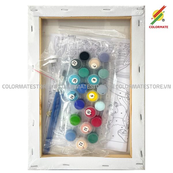  TRANH TÔ MÀU SỐ HÓA MERMAID A4-Colormate 