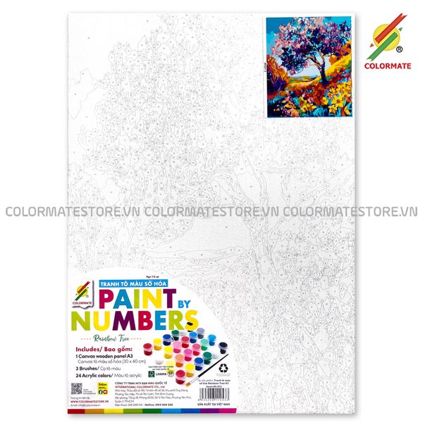  Tranh Tô Màu Số Hóa RAINBOW TREE A3-Colormate 