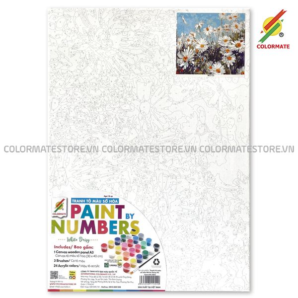  Tranh Tô Màu Số Hóa WHITE DAISY A3-Colormate 