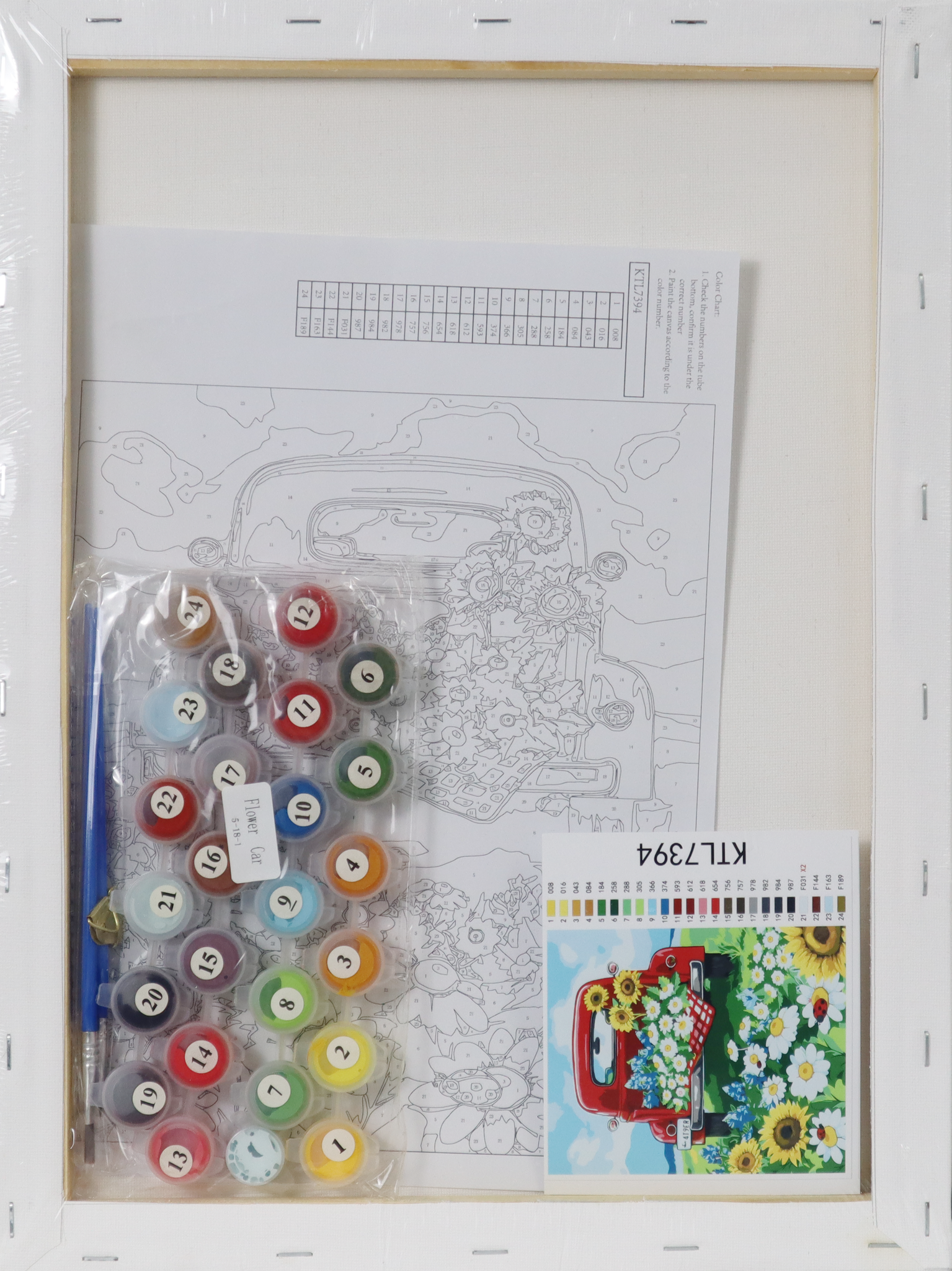  Tranh Tô Màu Số Hóa FLOWER CAR A3-Colormate 