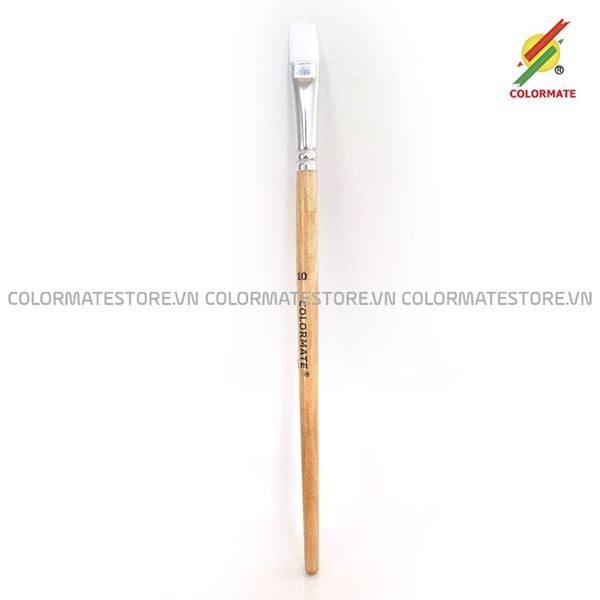  Cọ Đầu Vuông Số 10 Colormate 