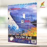  Tập Giấy Vẽ Acrylic Pad A4 Định Lượng 200GMS 12 Tờ 