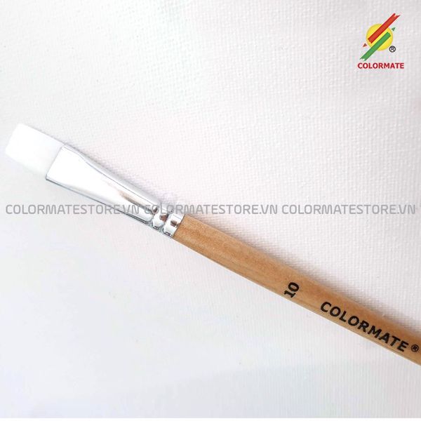  Cọ Đầu Vuông Số 10 Colormate 
