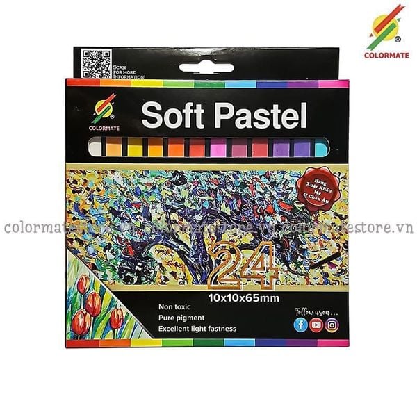  Hộp Giấy 24 Cây Phấn màu (soft pastel) -Colormate 