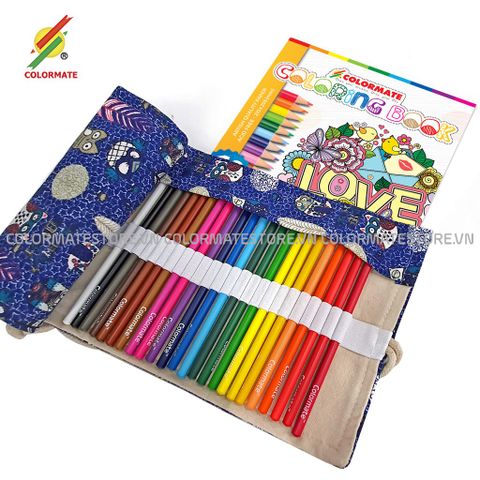 Hộp nhựa 24 bút chì màu
