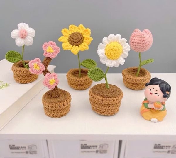  Bộ Diy Đan Len Chậu Hoa Nhỏ Màu Hồng 