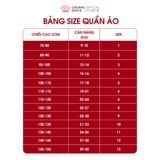  Áo Dài Gấm Hoa Dập Nổi Cao Cấp, Cách Tân, Sang Trọng | Crown Space CKBL9942005 