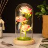 Hoa Hồng 3 bông đa sắc lồng thủy tinh đế gỗ đèn led- quà tặng sinh nhật người yêu - lễ tình nhân - quà lưu niệm