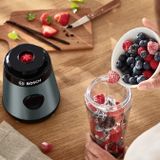 Máy xay sinh tố cầm tay mini Bosch MMB2111S