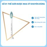 Combo 02 Đầu bàn chải điện C2  Philips HX9022/28 màu trắng