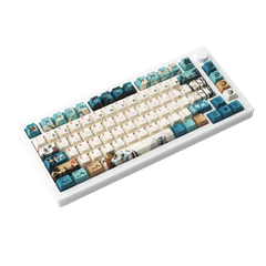 Bàn phím cơ AKKO MOD 007B HE PC Joy of Life (Hotswap,RGB / USB Type C 8K Hz/ Magnetic Switch / Rapid Trigger) Multi-mode
