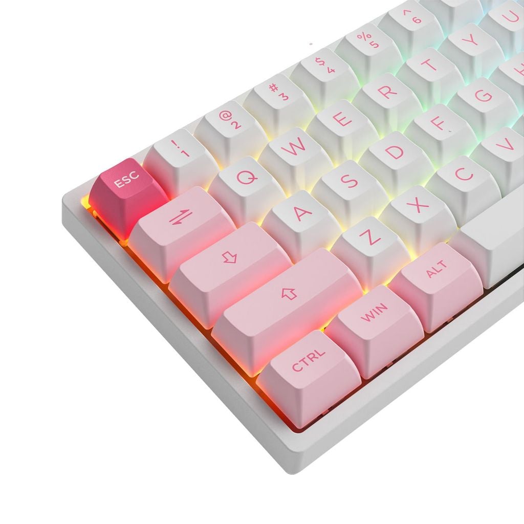 Bàn phím cơ AKKO 3068B Multi-modes Prunus Lannesiana