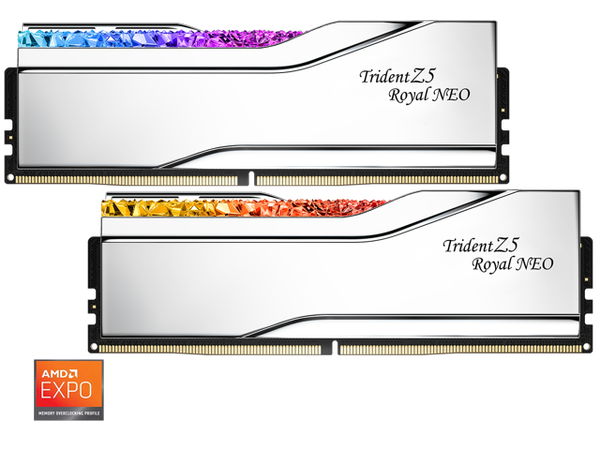 KIT Ram GSKILL Trident Z5 ROYAL NEO RGB Silver DDR5 96GB (48GB x 2) 6000MHz CL28 EXPO F5-6000J2836F48GX2-TR5NS  ( Expo/ XMP )